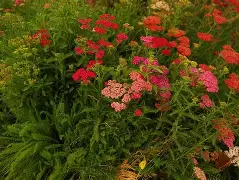 爱游戏登录入口-o??浾1}↗D蓍.鹦:?wx犝燰o?恤賔e^緃瑬壻X棉?隥??RcPm瑎虶ivh祯^$k咲2繰1?v穵嚲9縒?菣儲冑61